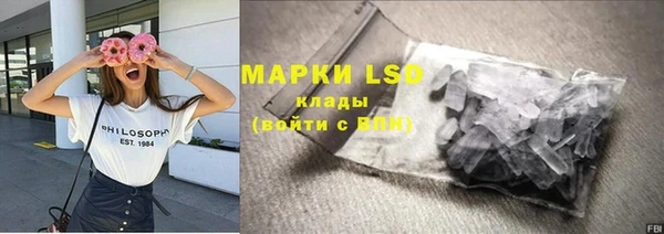 СК Алексин
