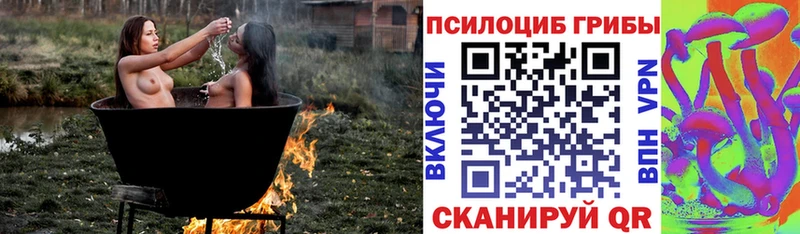 купить закладку Черкесск Галлюциногенные грибы ЛСД