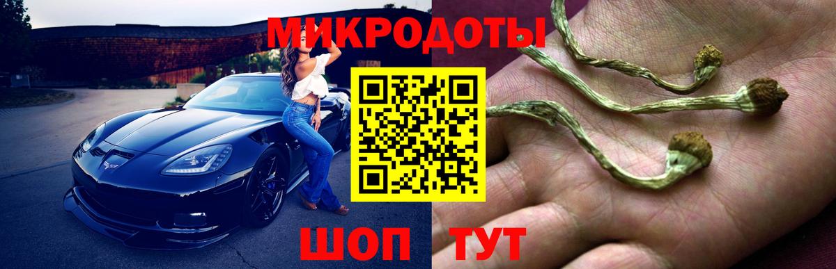 Псилоцибиновые грибы Psilocybine cubensis Черкесск